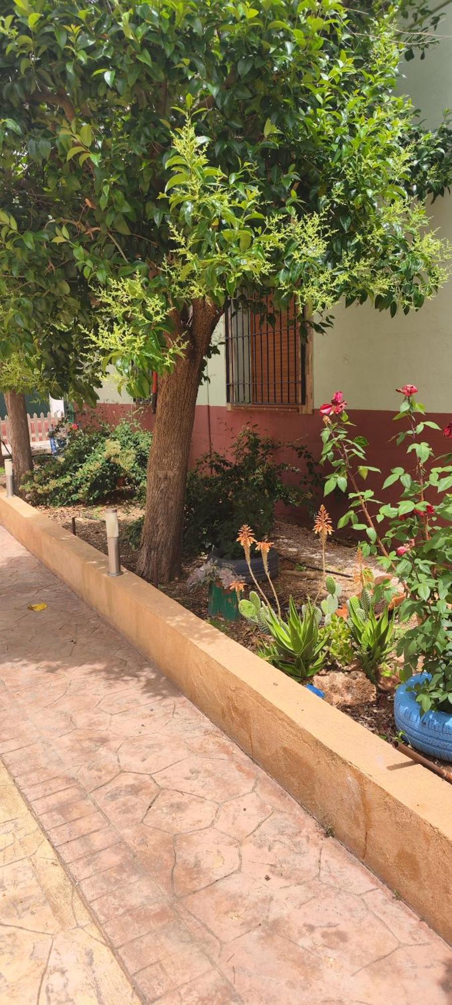 Casa Rural El Tejar Villa San Clemente  Exterior photo